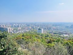 -杭州半山国家森林公园