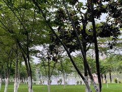-沙市市中山公园