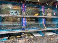 -浔味·山屿湖·正宗全鱼宴老字号