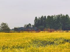 -中国天府农业博览园