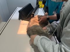 -宠颐生斯嘉宠物医院·急重症·心内科(谷阳北路分院)