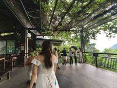 -呀诺达热带雨林