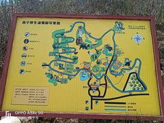 -青藏高原野生动物园