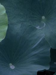 -玄武湖景区-情侣园游乐场