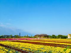 -中国天府农业博览园