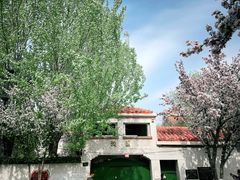 -天津五大道文化旅游区