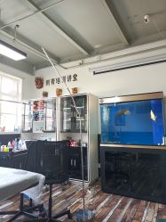 -雕哥的纹身店A3 TATTOO&纹身培训