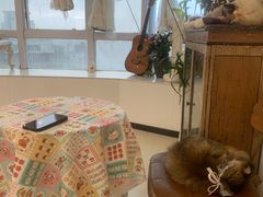 -共舞时光猫咖·狗咖(新街口店)