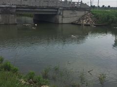 -乡乐园蟹庄·阳澄湖农家乐