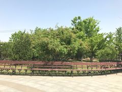 -永定河休闲森林公园