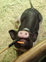 点击看大图 -Zoolung Zoolung动物主题公园(海信广场店)