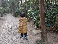 -狼山风景名胜区