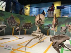 -国家自然博物馆