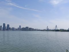 -万绿园