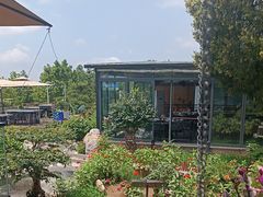 -蘇河湾·新鲁菜·泰山宴(泰山店)