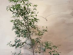 -恒悦轩·粤菜(上海展览中心店)