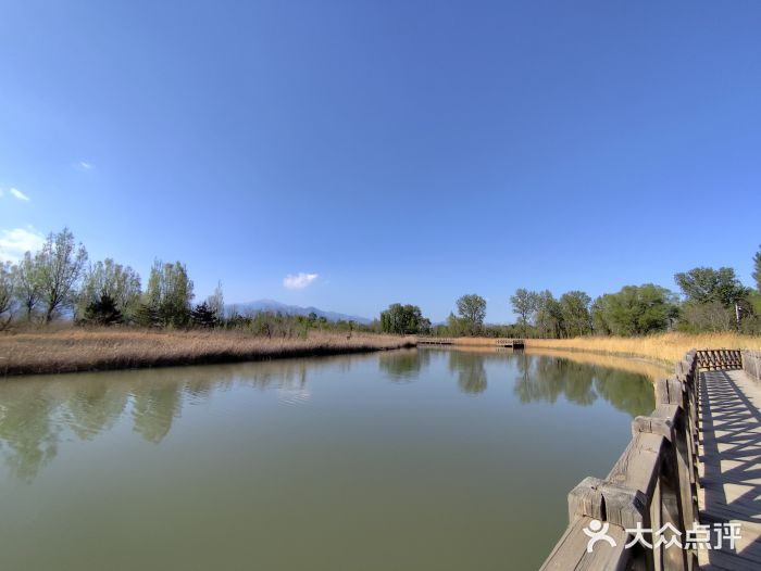 野鸭湖国家湿地公园图片