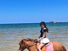 -养马岛旅游度假区
