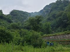 -牛背梁国家森林公园
