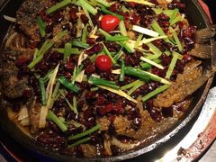 -老板恋上鱼(恒隆广场店)