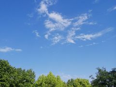 -南京航空航天大学(将军路校区)