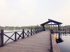 -溱湖国家湿地公园