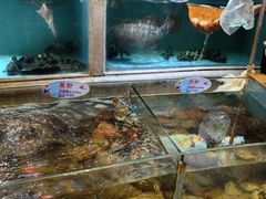 -快乐海鲜酒楼(滇池路店)