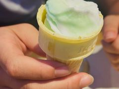 -杨记齐齐哈尔烤肉(总店)