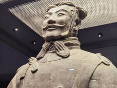 -秦始皇帝陵博物院(兵马俑)