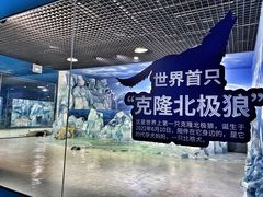 -哈尔滨极地公园