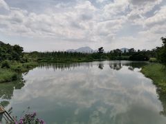 -三垟湿地