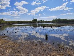 -野鸭湖国家湿地公园