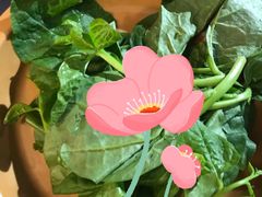 -龍歌自助小火锅(李沧丽达店)