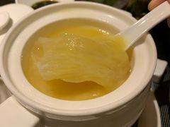 -半岛翡丽海鲜自助餐厅(观风亭店)