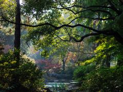 -上海滨江森林公园