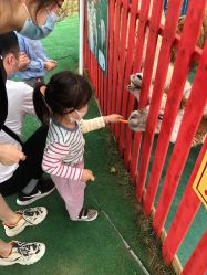 -萌宠亲子动物乐园(槐房万达店)