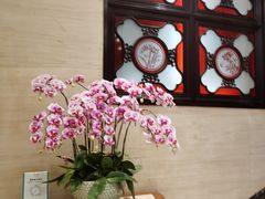 -北园酒家(小北路店)