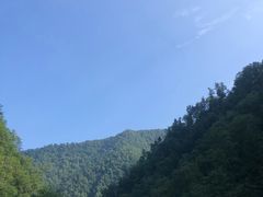 -凤凰山国家森林公园