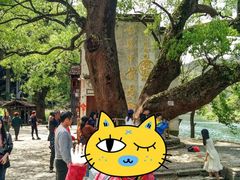 -上坦村