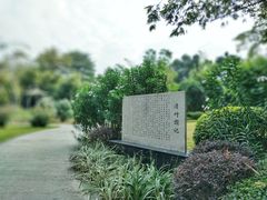 -晓港公园