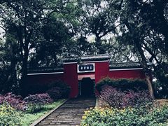 -子昂故里文化旅游区