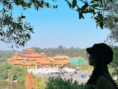 -三水森林公园