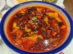 -凯鸽酒楼(操场城店)