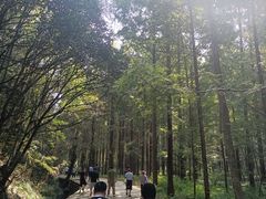 -小格里自然风景区