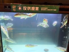 -肆月河豚·淮扬菜·湘菜(华天店)