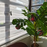 广州探店｜手冲爱好者必打卡的独栋咖啡店