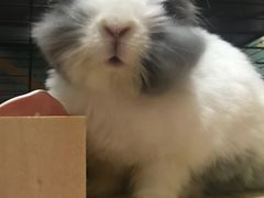 -雨林宠物医院 非犬猫异宠专科