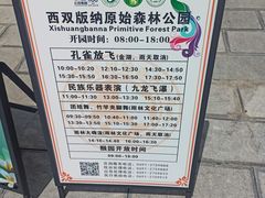 -西双版纳原始森林公园