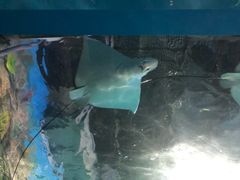 -常州海昌海洋探索馆