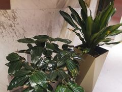 -资和信百货商场